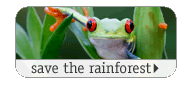 save the rainforest
