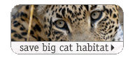save big cat habitat