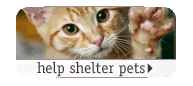 help shelter pets