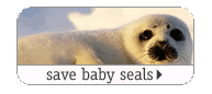save baby seals