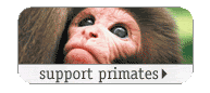 support primates