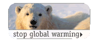 stop global warming
