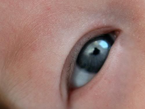 Ojos - Fotos Ojos - Fotos