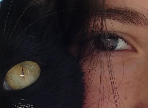 Ojos - Fotos Ojos - Fotos