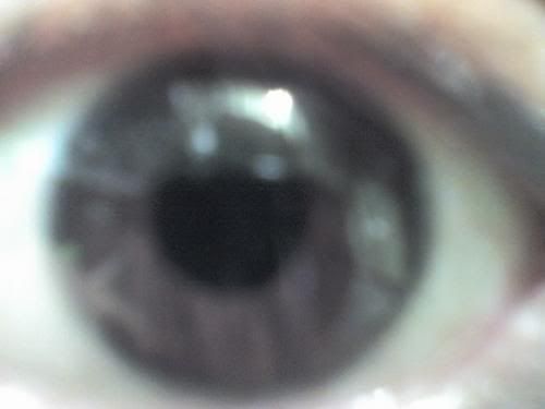 Ojos - Fotos Ojos - Fotos