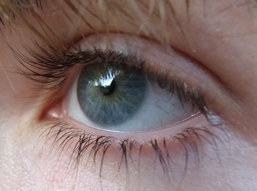 Ojos Ojos