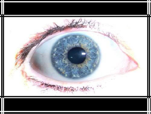 Ojos - Fotos Ojos - Fotos