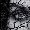 Ojos - Fotos Ojos - Fotos