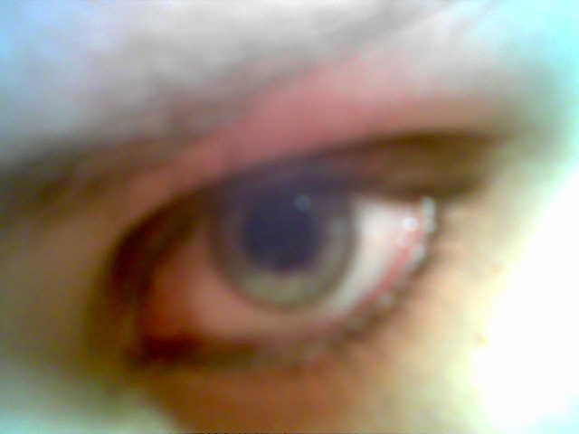 fotos fotos