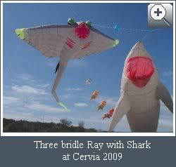 Three bridle Ray with Shark cervia 2009 Three bridle Ray with Shark cervia 2009.jpg