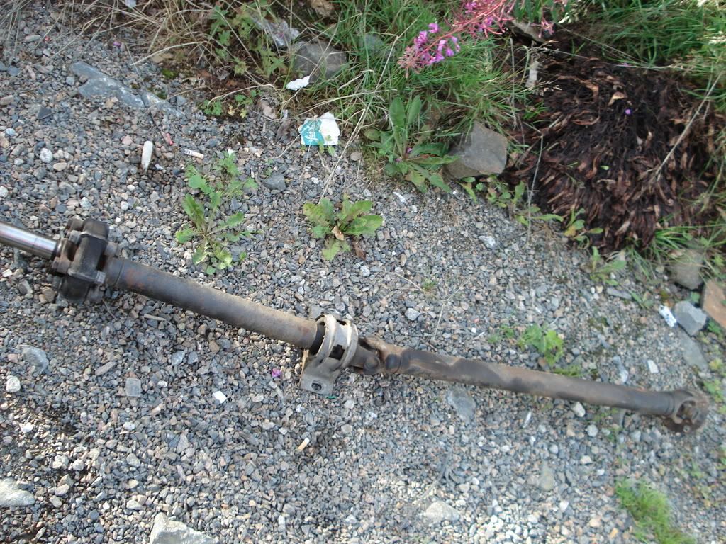 DSC01440.jpg