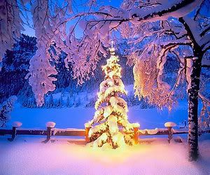 christmas_by_Abakum.jpg image by susymart