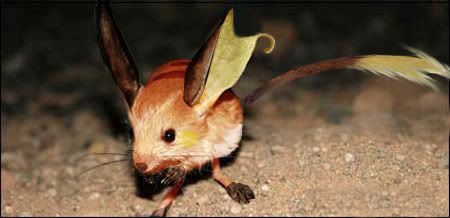 Real Raichu