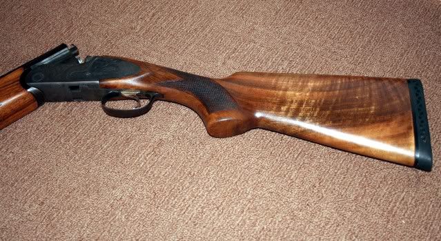 rizzini002a.jpg