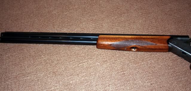 rizzini003a.jpg