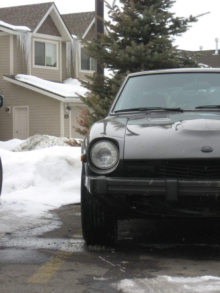 IMG_1143.jpg?t=1265413535