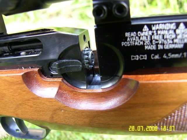 Ferrets Buellers review of the Weihrauch HW100