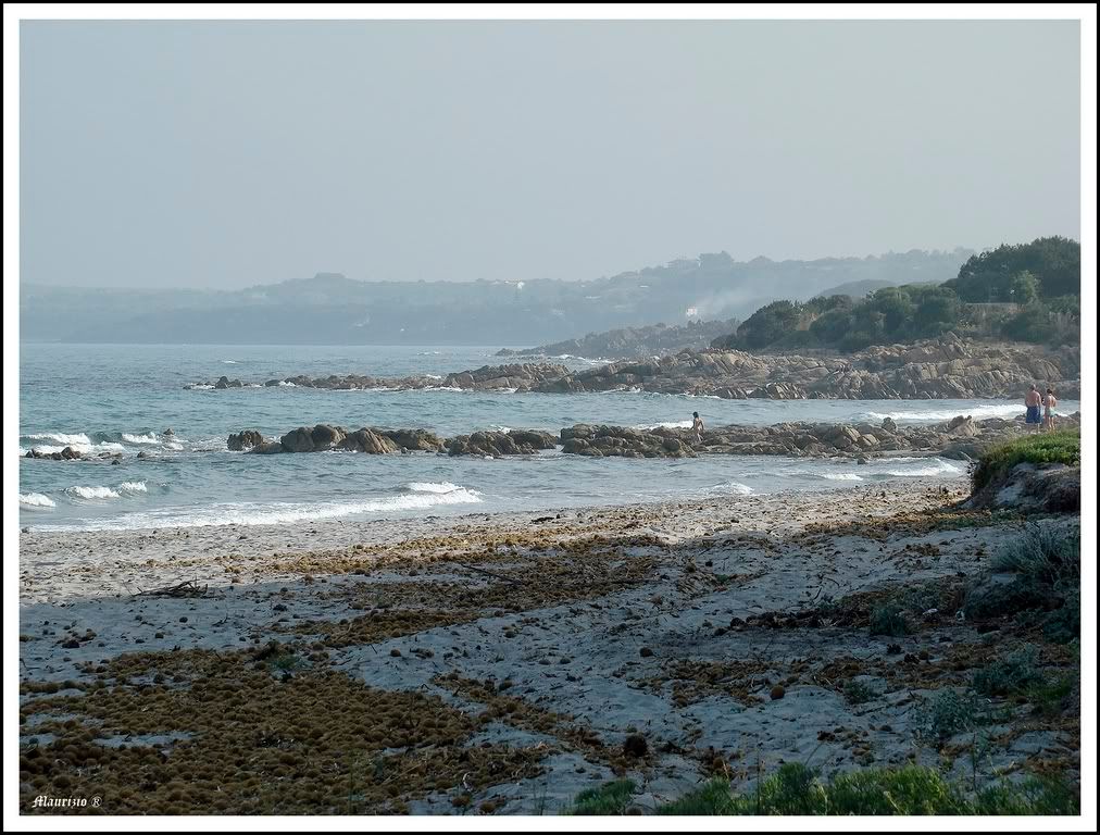 mare
