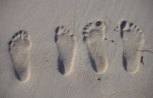 SandFootprints.jpg image by weirdscience_photos