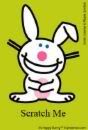 ITCHY HAPPY BUNNY Pictures, Images and Photos