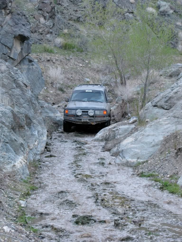 IMG_4054.jpg