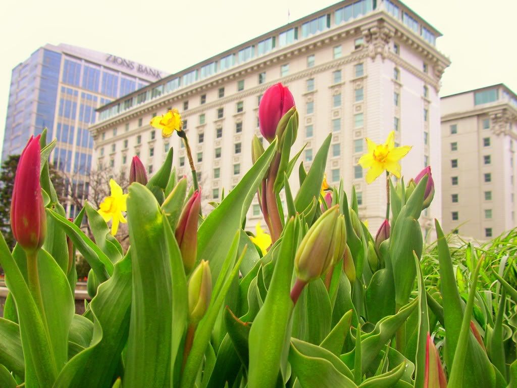 Hotel Utah,Joseph Smith Memorial Building,Flowers on Temple Square,Salt Lake city