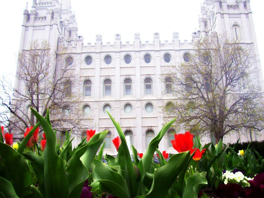 Salt Lake Temple,Spring Flowers,Temple Square