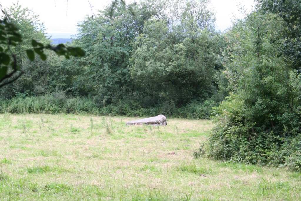 menhir nord