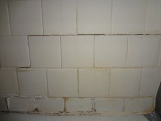Repairing/Replacing Bathroom Ceramic Tile - Homesteading Questions