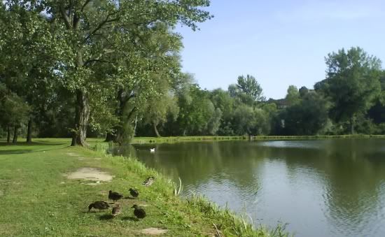 Photo Sharing and Video Hosting at Photobucket