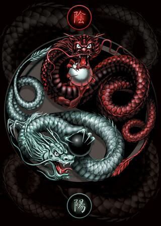 ying yang dragon