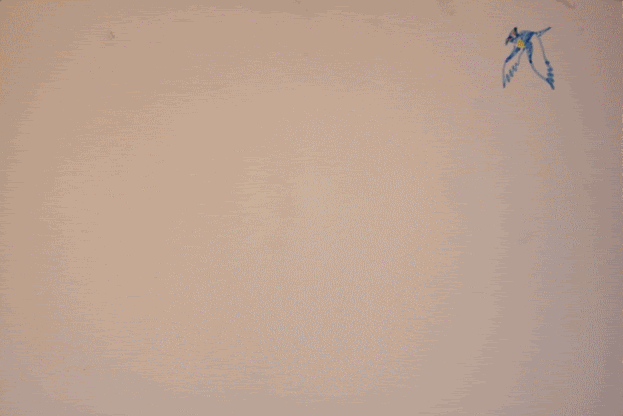 pan bird