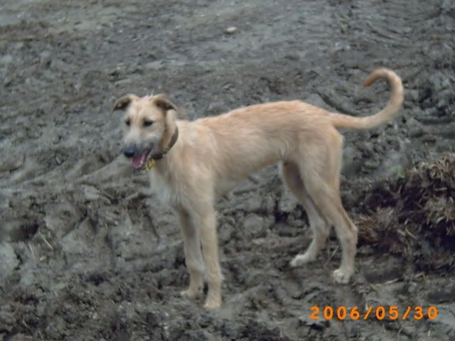 kimpic014.jpg