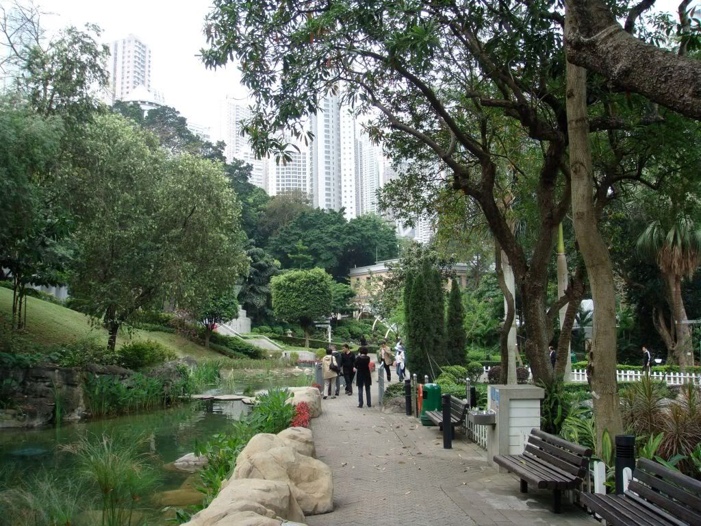 DSC00843.jpg