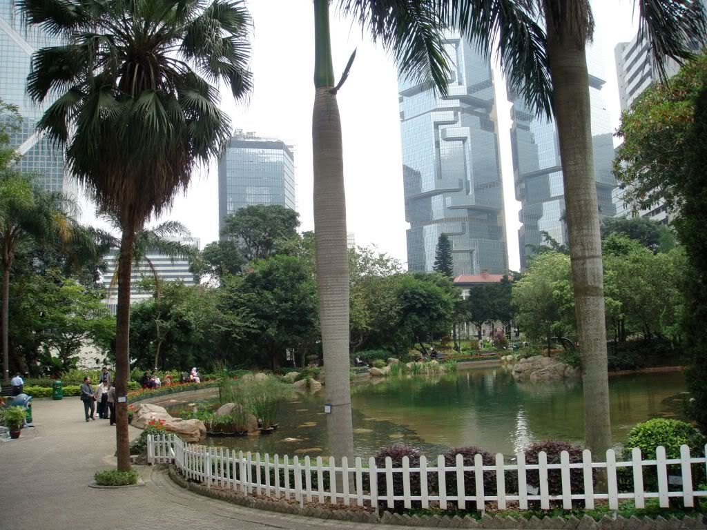 DSC00848.jpg