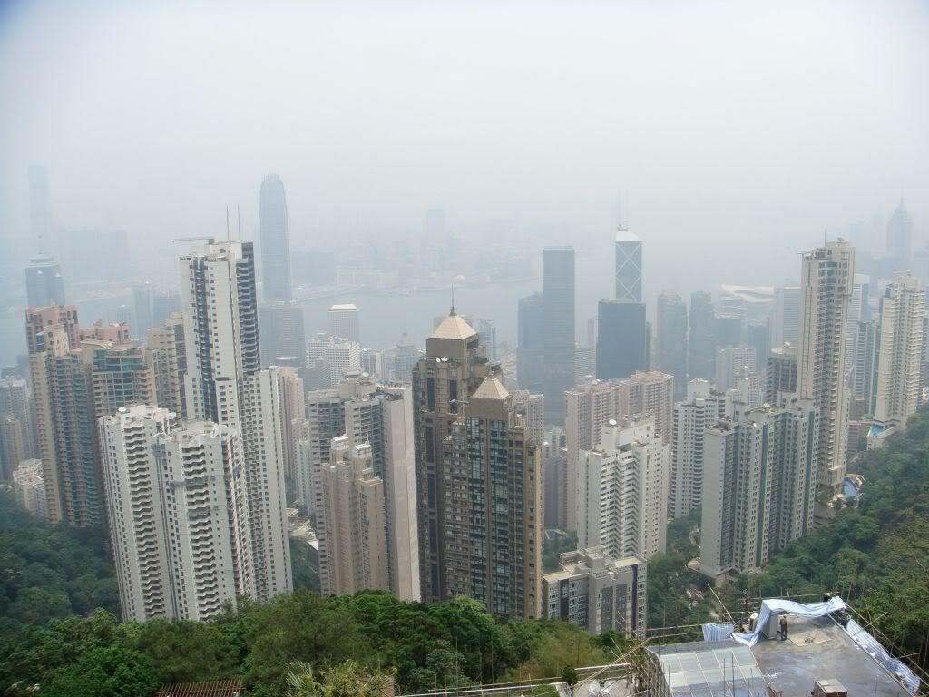 DSC00855.jpg