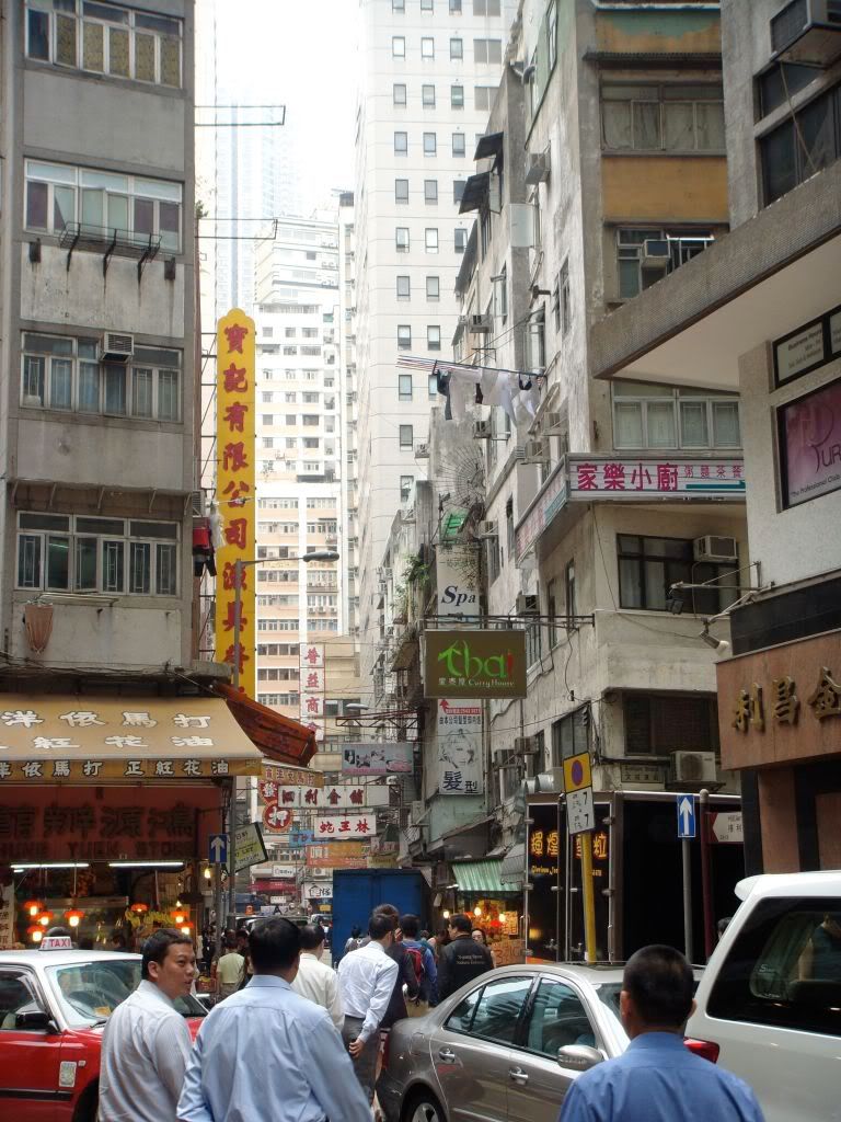 DSC00875.jpg