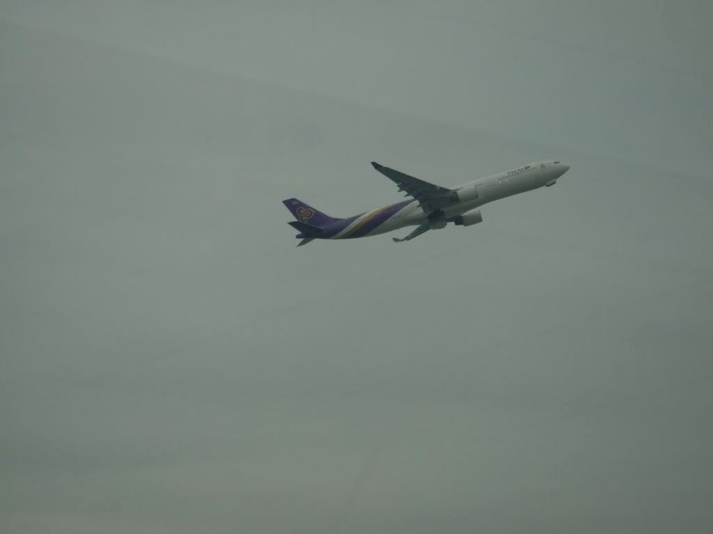 DSC00894.jpg
