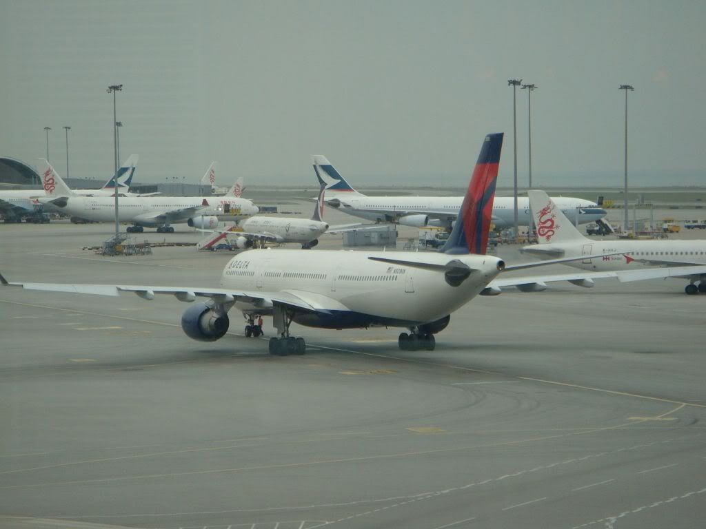 DSC00895-1.jpg