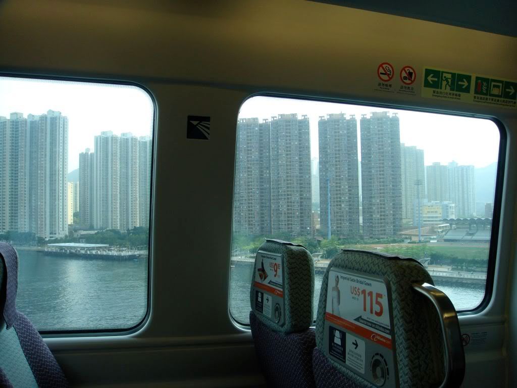 DSC00979.jpg