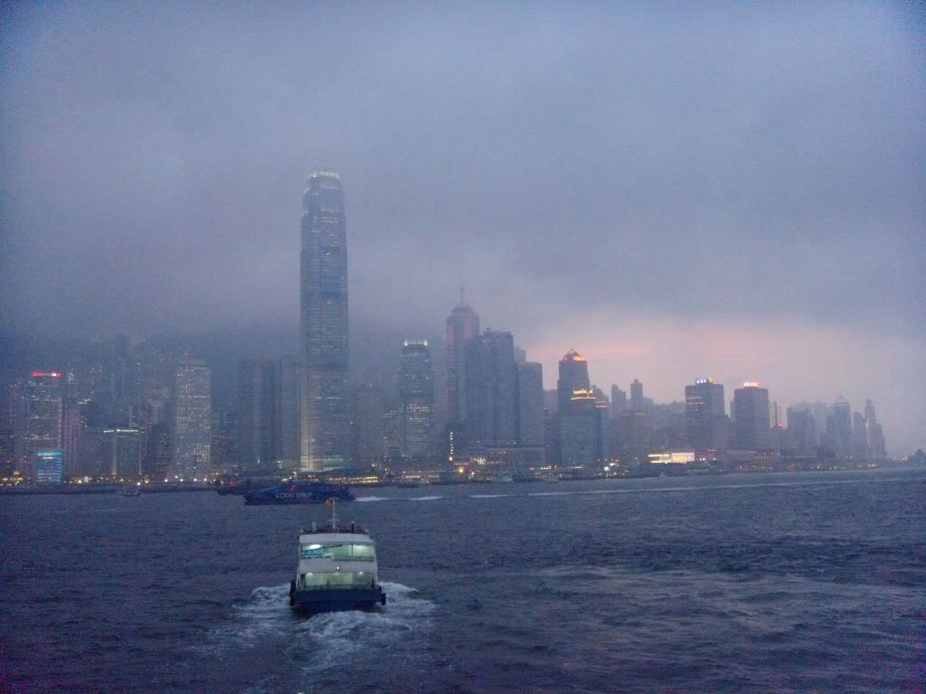 DSC01008.jpg