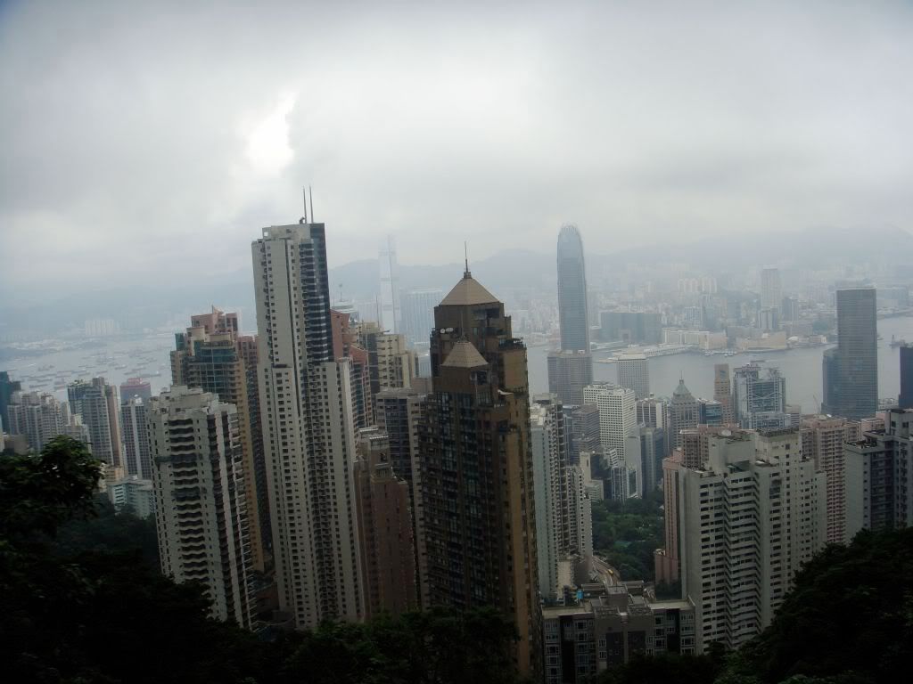 DSC01084.jpg