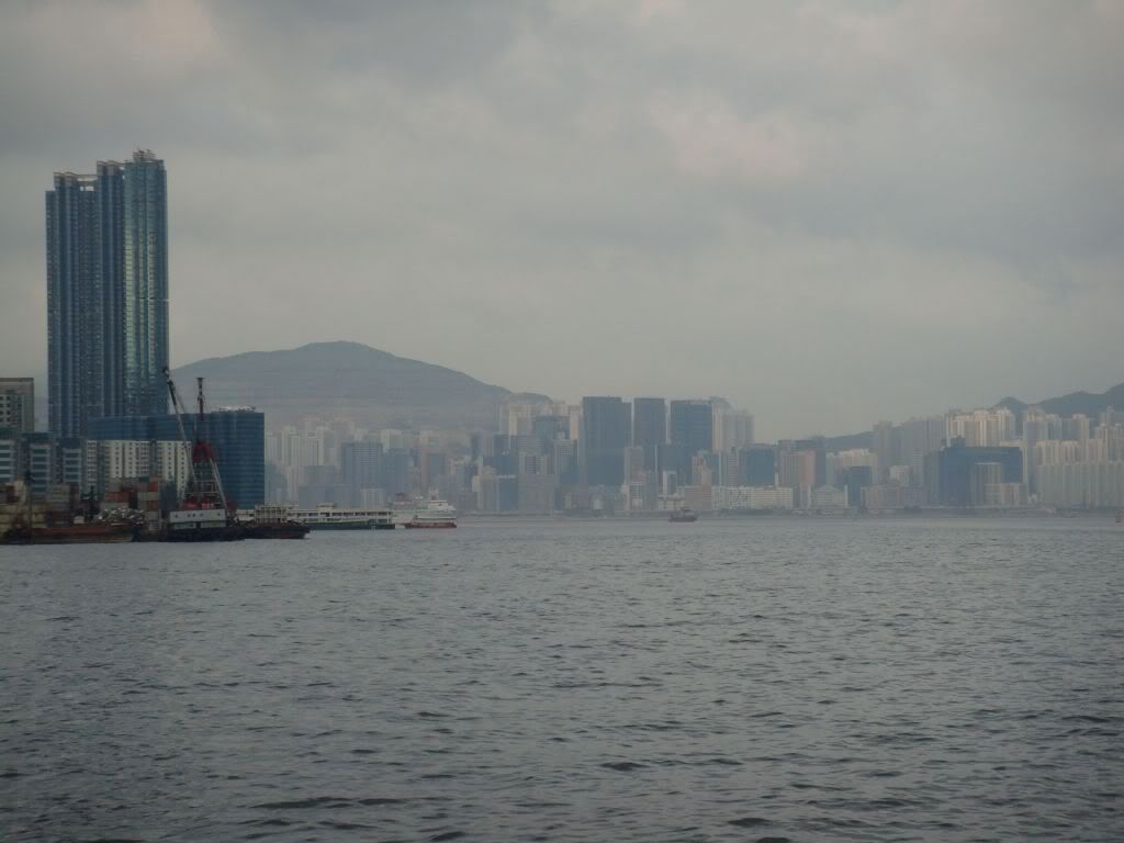 DSC01096.jpg