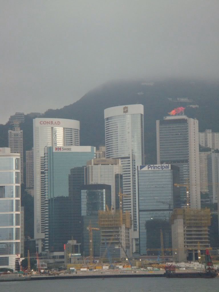 DSC01102.jpg