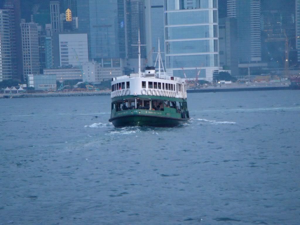 DSC01110.jpg