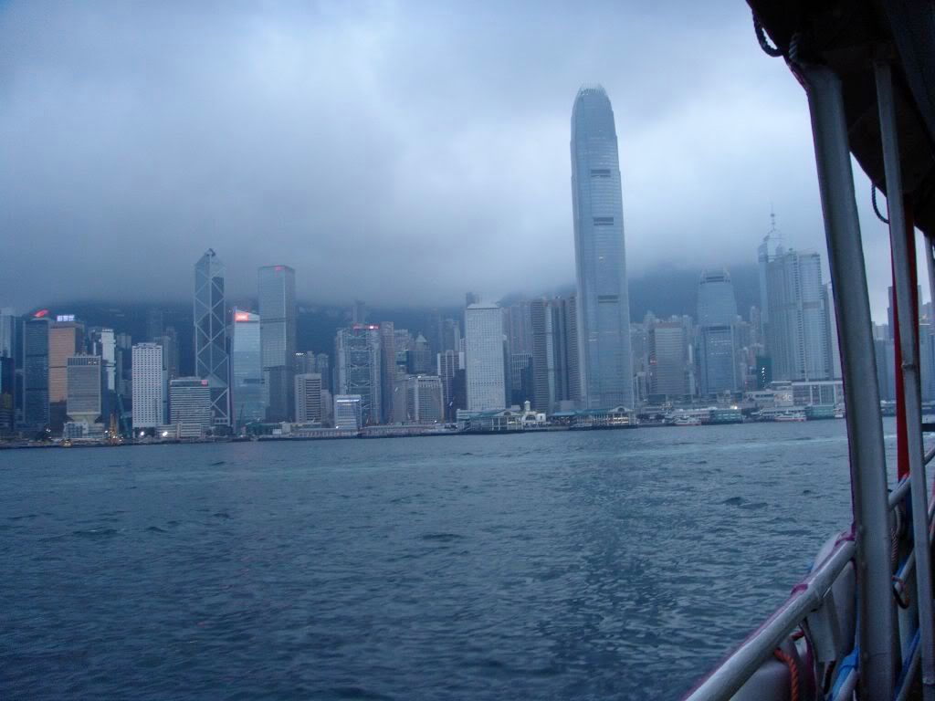 DSC01113.jpg