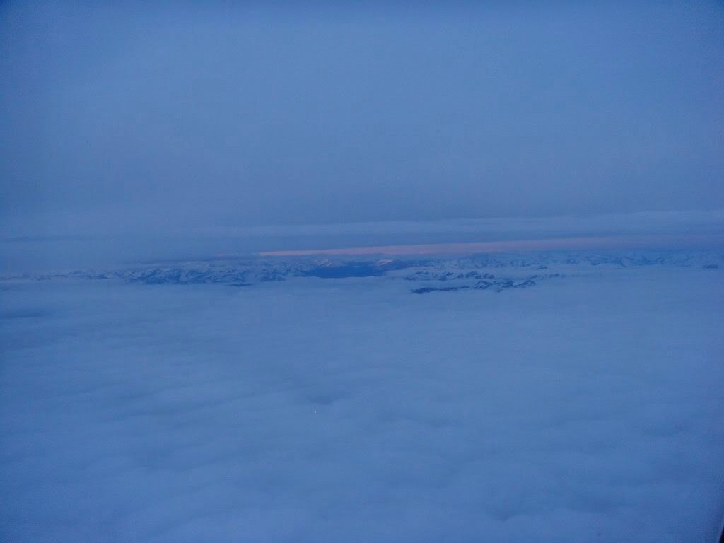 DSC01145.jpg