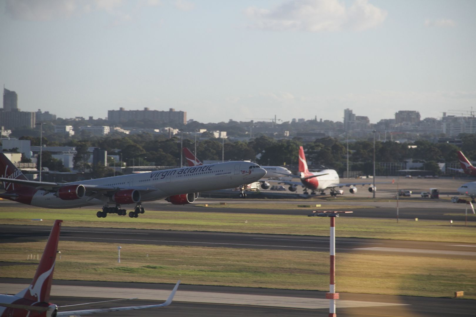 NC219.jpg