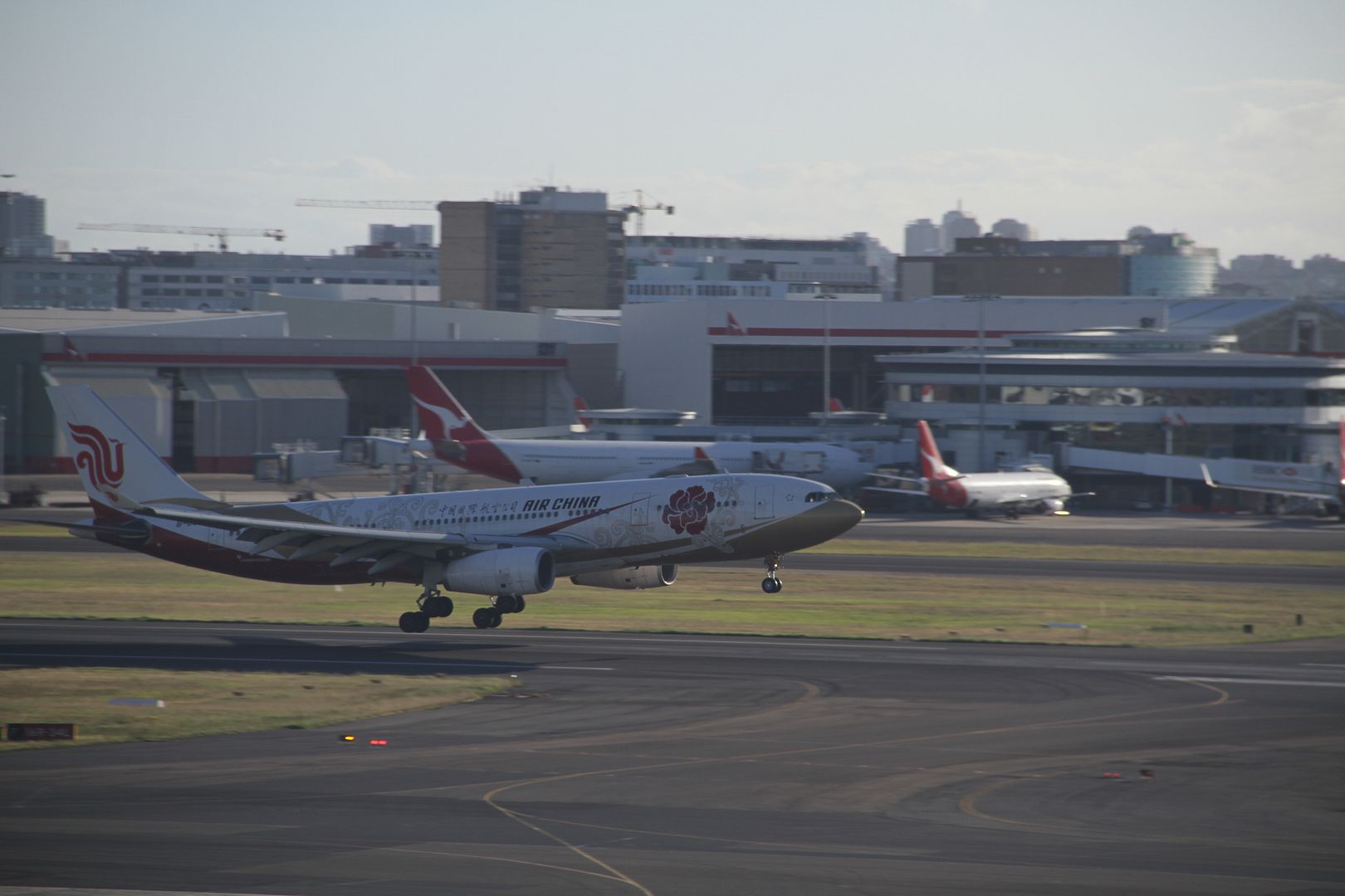 NC223.jpg