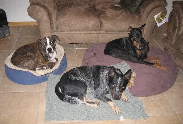 Jada Achilles and Gracie